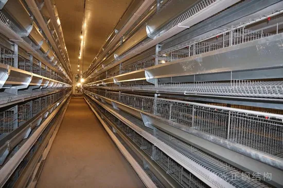 Drinking System for Pig